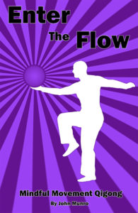 Enter The Flow Qigong Book Cover