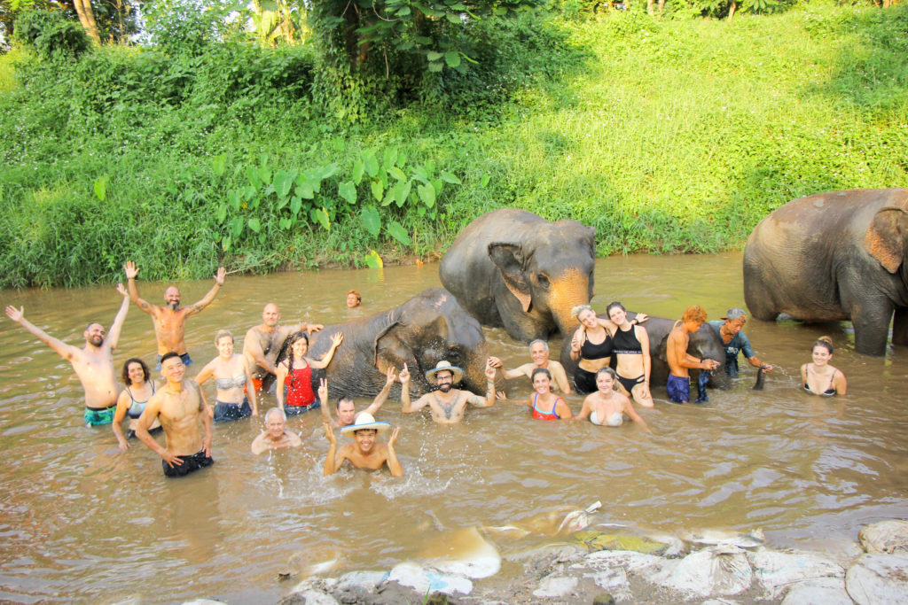 with the elephants at our qigong retreat in thailand