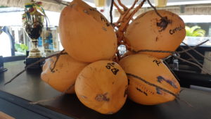 More coconuts!