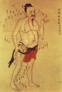 Acupuncture charts show the times that different organs are most active according to the Chinese meridian clock
