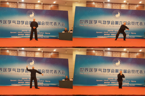Some images showing some of the Wuji Qigong demonstration at the medical qigong conference