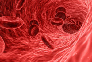 Blood cells moving through an artery, showing internal movement as a form of qi