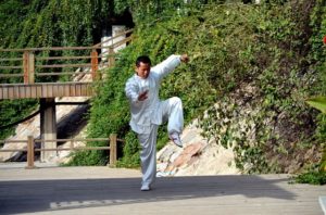 A man practicing kung fu - the kung is the same gong as in qigong - to show that gong applies to all skills gained through long practice
