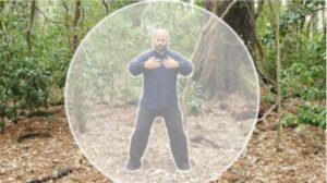 Qigong for Immunity online course