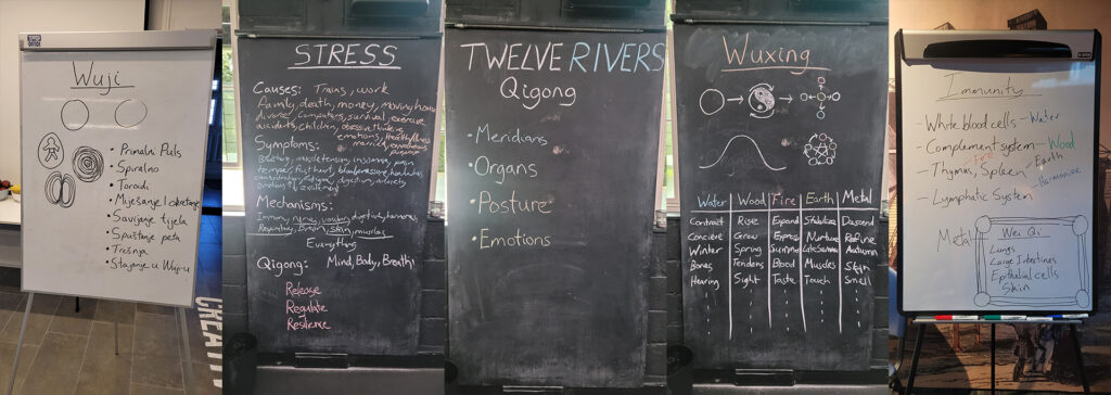 This image shows several different white and blackboards from Long White Cloud Qigong workshops to show some of the range of topics covered in the workshops.