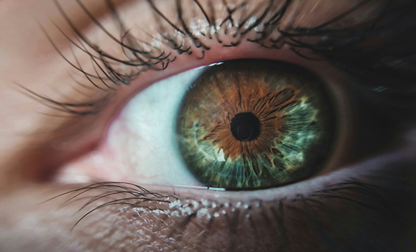 Eye to show the importance of life experience and the area of focus of a qigong teacher