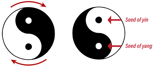 Ying yang seeds and rotation