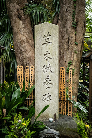 Chinese standing post and a tree to show that Zhan Zhuang is often translated literally as meaning “Standing Post" or "Standing like a Tree"